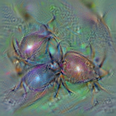 n02172182